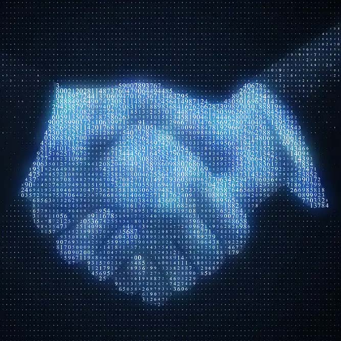 Discover Cyber Protection at Its Best With Our Premium Partners